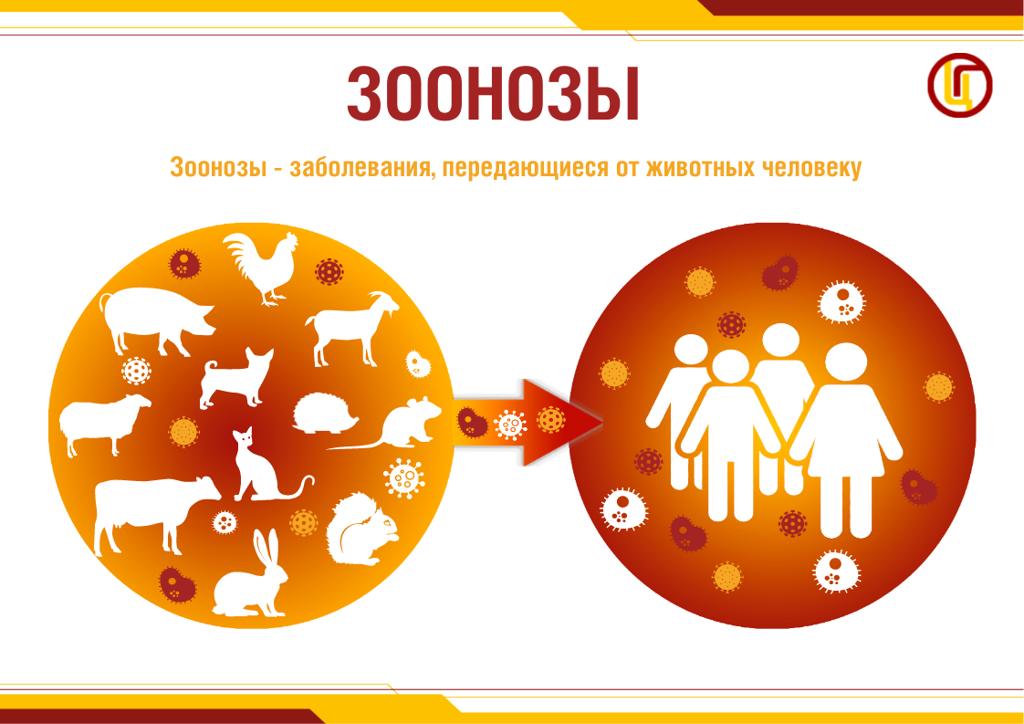 Zoonozy